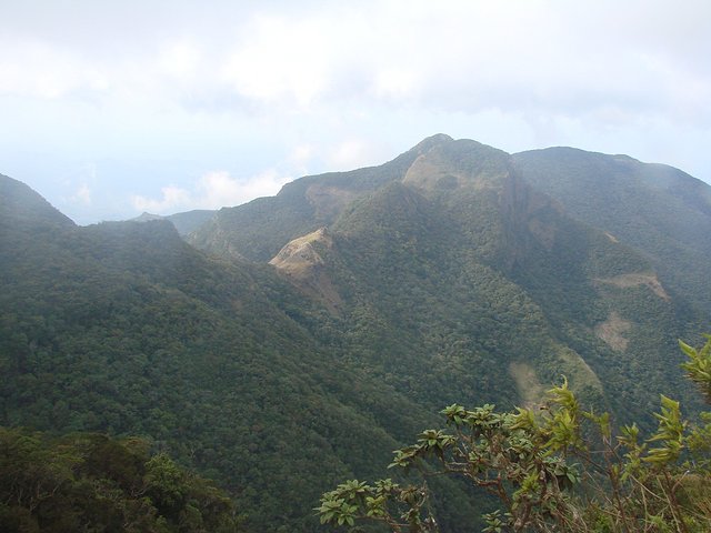 在斯里兰卡旅游必做的10件事,在斯里兰卡的难忘旅行经历