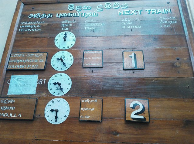 在斯里兰卡旅游必做的10件事,在斯里兰卡的难忘旅行经历