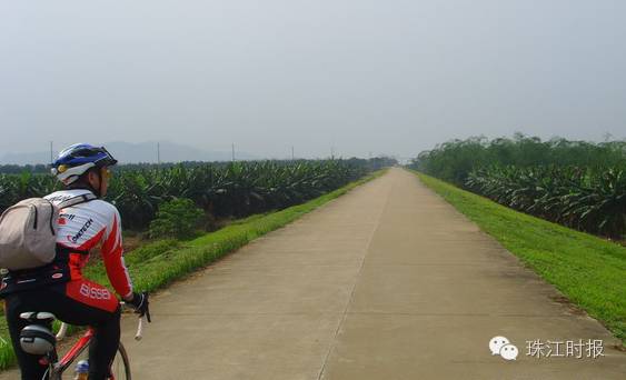 西樵地铁西樵站规划,西樵地铁站最新消息