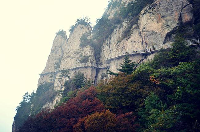 老君山仙境高清图片,老君山似天上宫阙