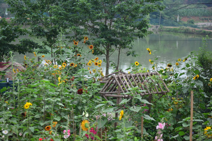 花园拜访,成都玛莉亚色彩花园电话