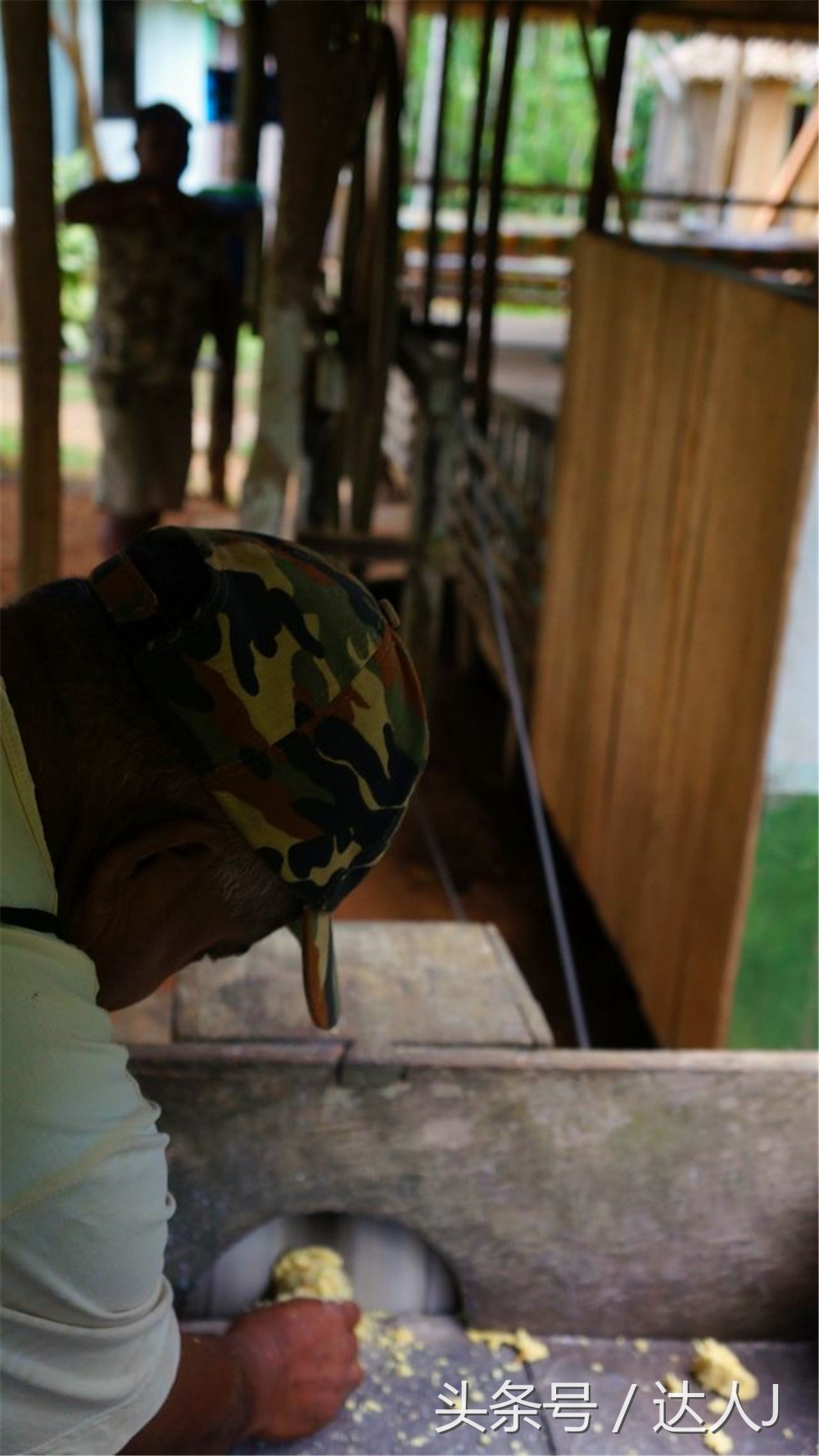 从亚马逊雨林到安纳托,最靠近亚马逊丛林的城市