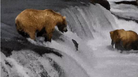 花椒直播平台起诉主播,花椒平台告主播违约