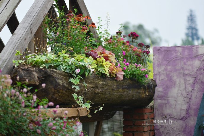 成都玛莉亚色彩花园,成都玛莉亚色彩花园电话