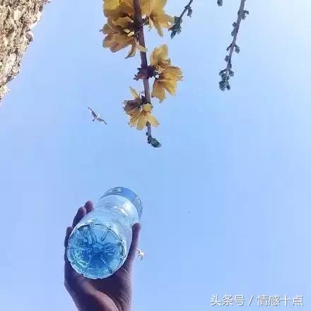 希望周围多一个幸福的人,周围的人好像都挺幸福的