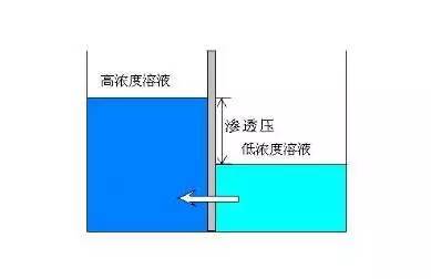 怎么预防功能性消化不良,长期不运动消化不良怎么办