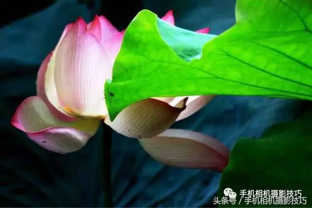 拍好照片的三个标准你值得一看,拍一张好照片容易吗