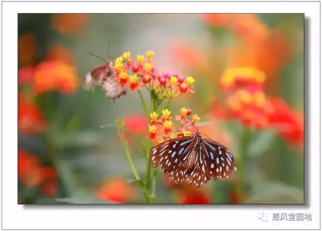 情人节到了不要惊喜只要健康快乐,情人节快乐好好生活