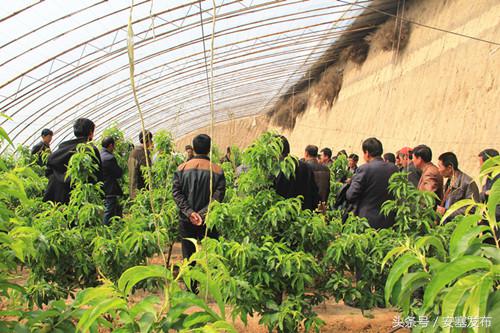 安塞读本：新农民新农村新希望——追赶超越看安塞之新型职业农民篇