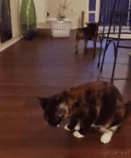 姹槦浜烘槸蹇冩満鐙楀悧,涓轰粈涔堟豹鏄熶汉閲嶆儏閲嶄箟