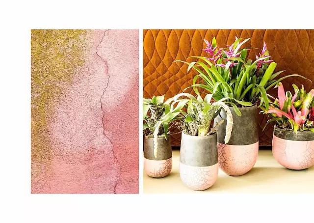 最好的花店没有之一,值得推荐的花店