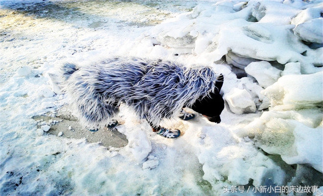 77岁瘫痪老人被虐待,80岁老人惨遭儿媳虐待