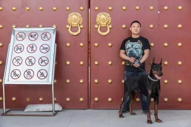 狗生如梦｜ONE实验室