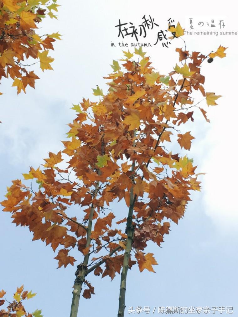 扬州上个世纪的繁华,扬州曾经繁华的地方