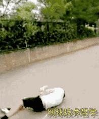 网球发球动作干货,初学网球发球动作技术讲解