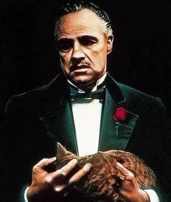 大溪地海岛度假岛,海岛旅游攻略大溪地