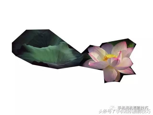 拍好照片的三个标准你值得一看,拍一张好照片容易吗