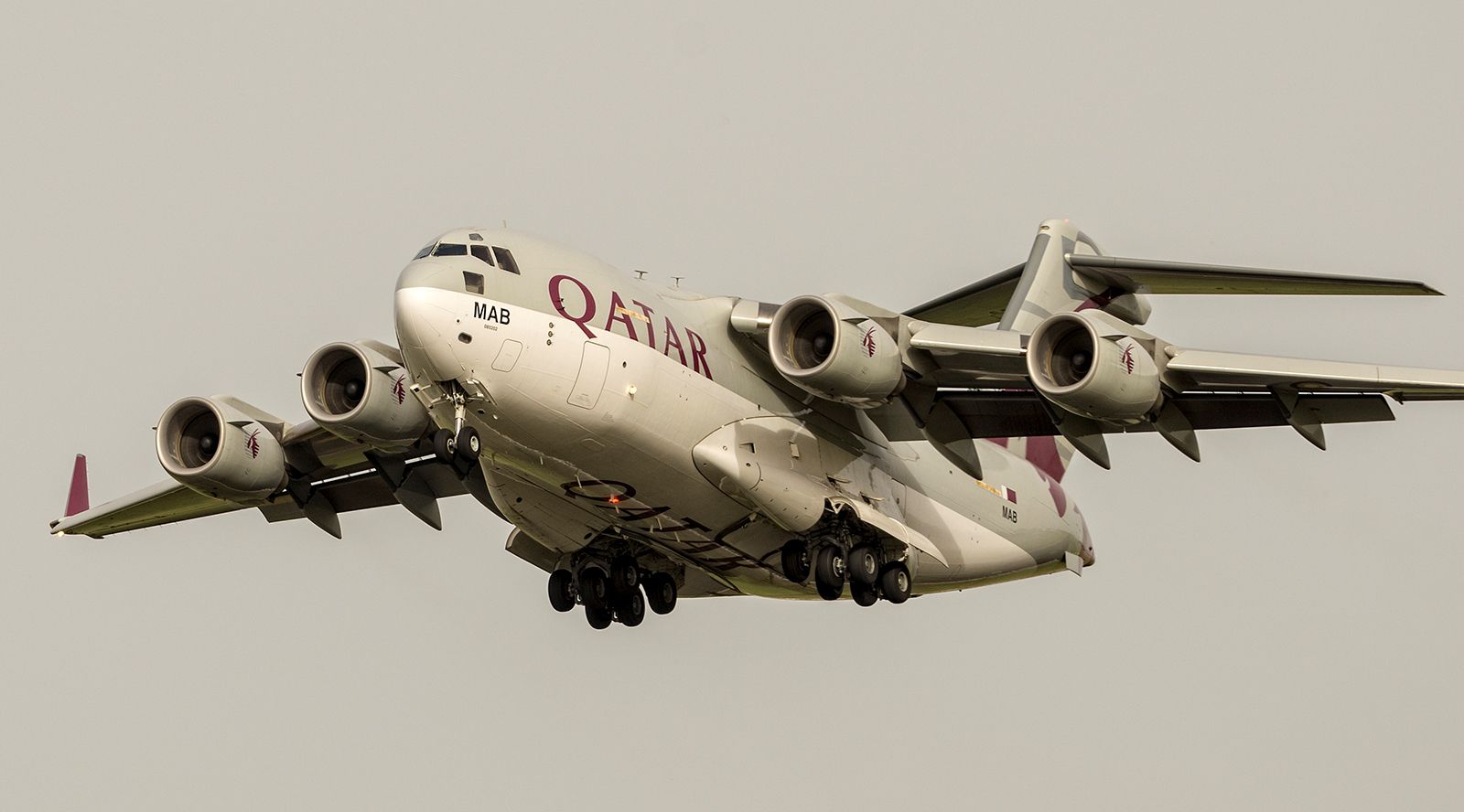 真壕！卡塔尔遭沙特等国围堵，恐怕要喝不上鲜奶，准备用运输机运来4000千头牛