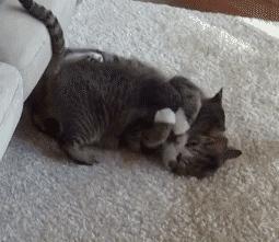 三人行必有我师其二,三人行必有我师2