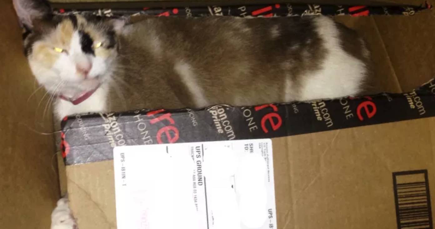 亚马逊美国购物节,亚马逊新夏季购物节