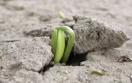 开餐饮店失败后该如何规划自己,餐饮门店开源节流的十种方法