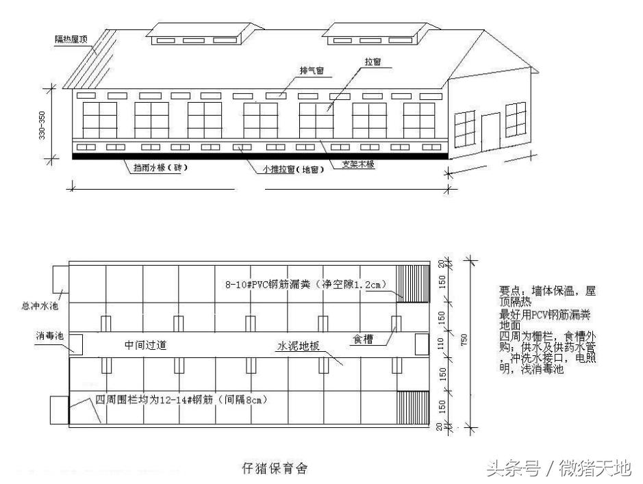 农村100头育肥猪小型猪场设计图,农村小型养猪场设计规划图