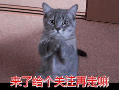 微商十大销量产品排名,2021年微商十大畅销品牌排行榜