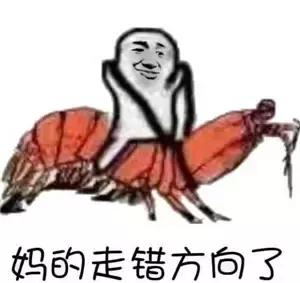 网络热词英语大全及解释,网络流行词英语热点词汇