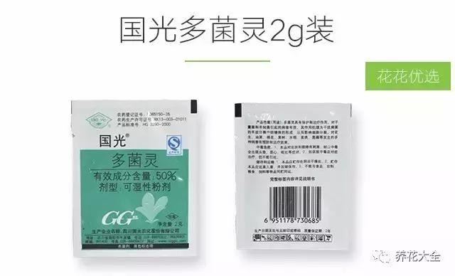 植物起死回生 (让植物起死回生的小妙招)