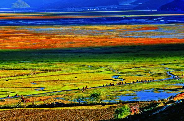 云南旅游全攻略自由行美食,别再问攻略