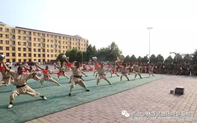 暑假去少林寺学功夫,暑假去衡东少林文武学校