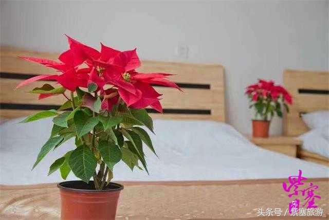 雄安紫塞农家院,京津冀旅游农家院攻略