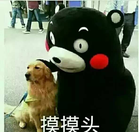 抗痘不走弯路音乐,抗痘不走弯路