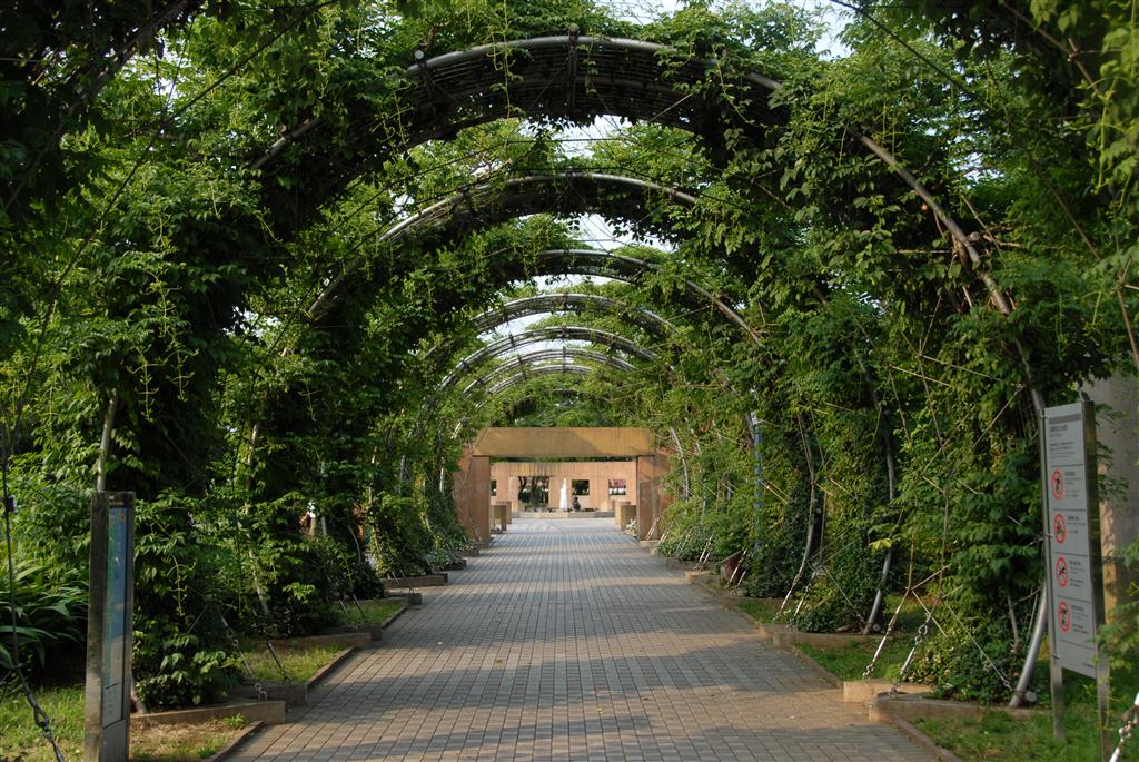 横滨五大第一次游览不容错过的景点附无完税办理日本多次签证攻略