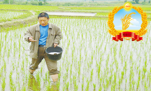 农友撒尿素,农民对化肥认知错误