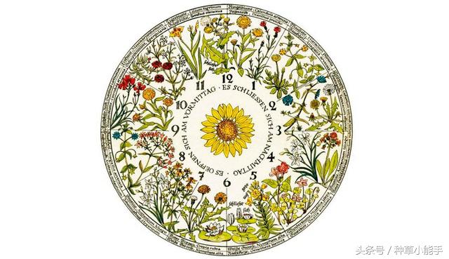 美妆品牌有哪些新品,美妆有哪些跨界融合的案例