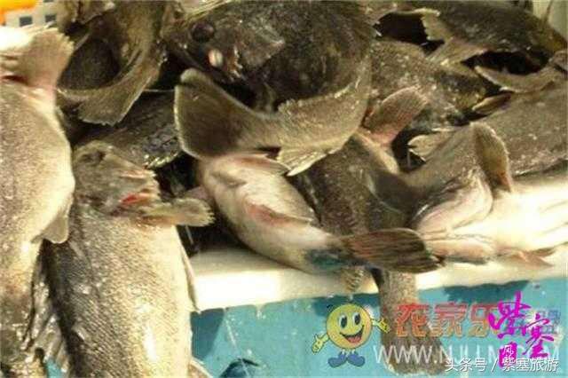 大钦岛渔家乐旅游攻略,紫塞北京农家乐