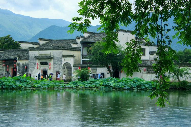 发现一个世外桃源的地方真美,有一处叫世外桃源的地方