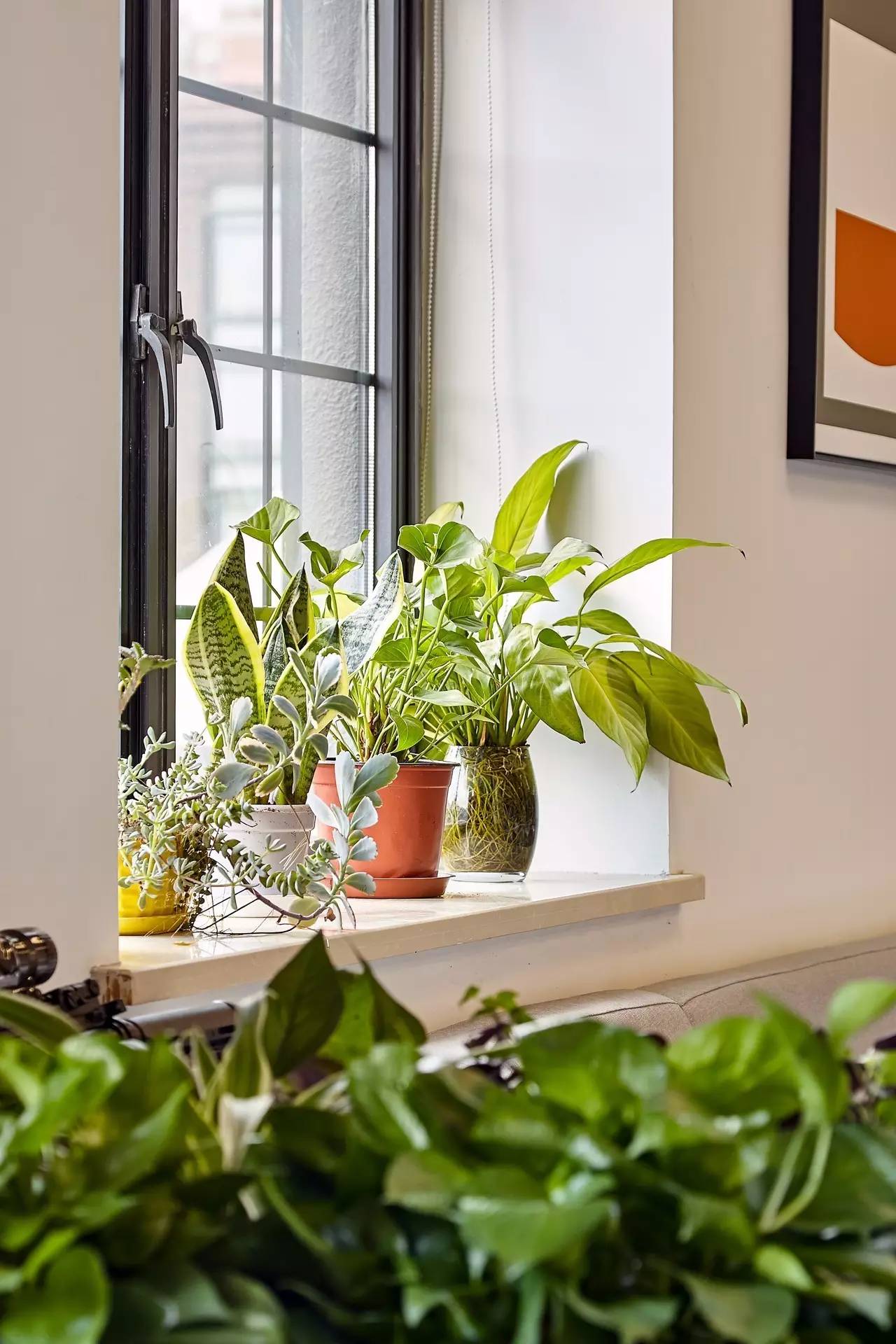 爱情公寓里面的角色都是什么工作,爱情公寓主角的工作到底是什么