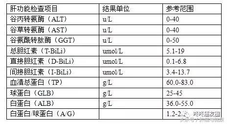 肝脏两对半指标怎么看,肝功能报告单怎么看肝数值