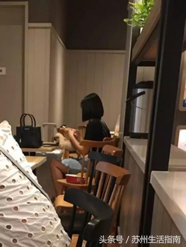 撸猫撸狗好去处苏州,苏州可以撸猫的园