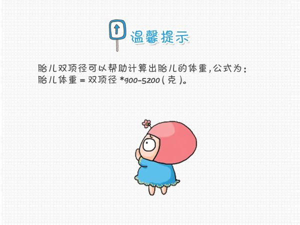 如何看胎儿双顶径,怎么看胎儿头围腹围股骨长