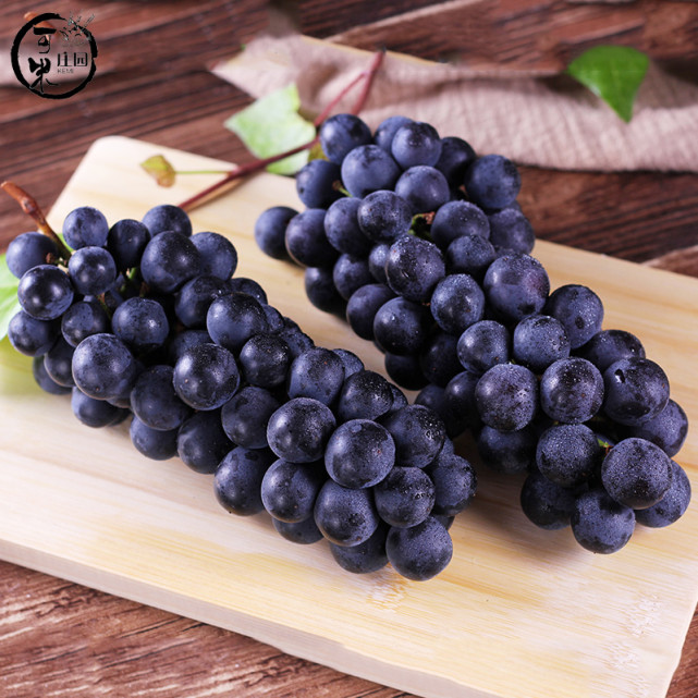 这些饵料堪称经典你用过几种,比较冷门但是效果却很好的饵料