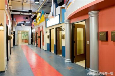 王思聪可以带狗上飞机吗 (王思聪飞机可以带狗吗)