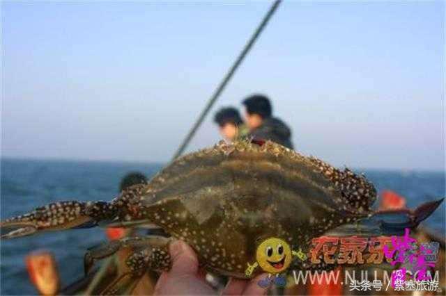 大钦岛渔家乐旅游攻略,紫塞北京农家乐