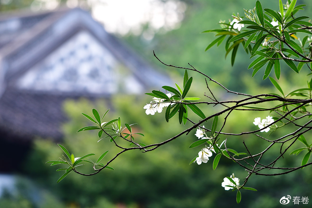尼康和腾龙合作的镜头,尼康腾龙长变焦镜头比较