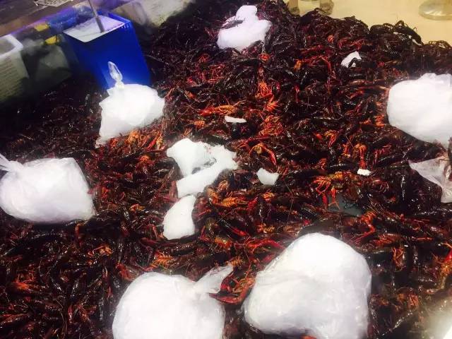 听说马云开了家作妖儿的水族馆，全城的大人都带着小孩冲过去了