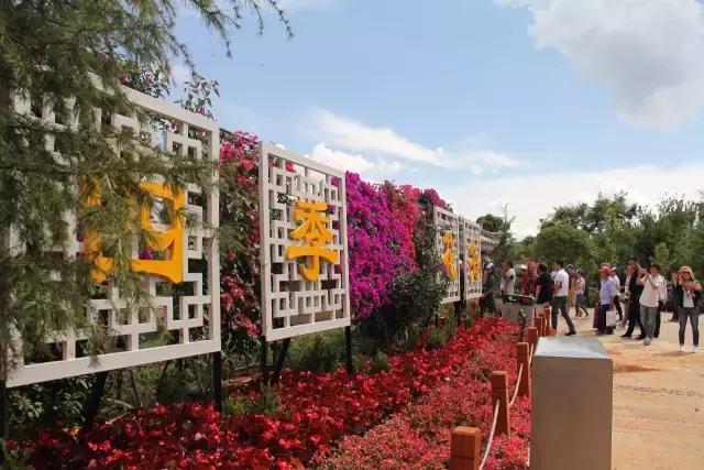 云南花海之行,云南花海基地旅游攻略