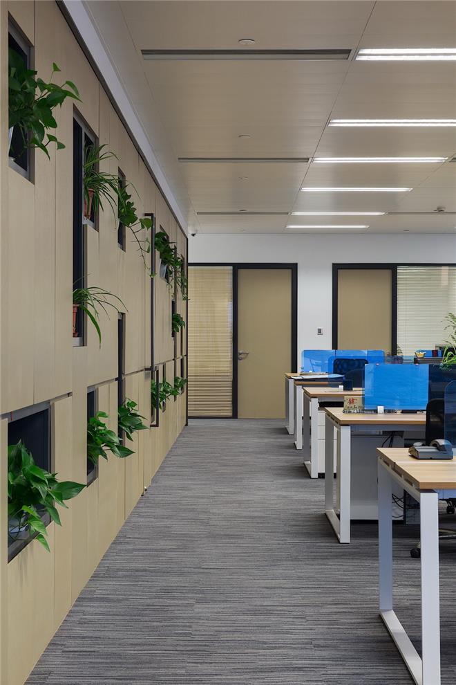 王兵形象设计,王兵谈营造