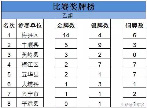 梅州田径市运会,市运会田径项目圆满结束